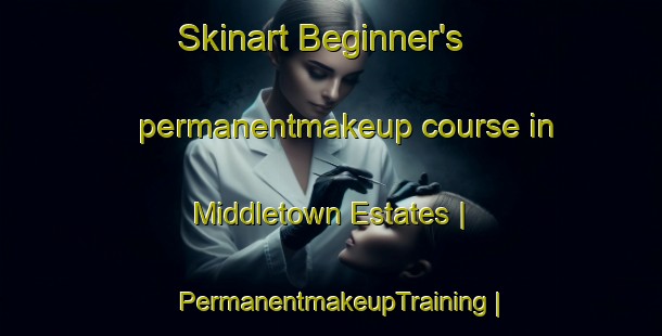 Skinart Beginner's permanentmakeup course in Middletown Estates | PermanentmakeupTraining | PermanentmakeupClasses | SkinartTraining-United States